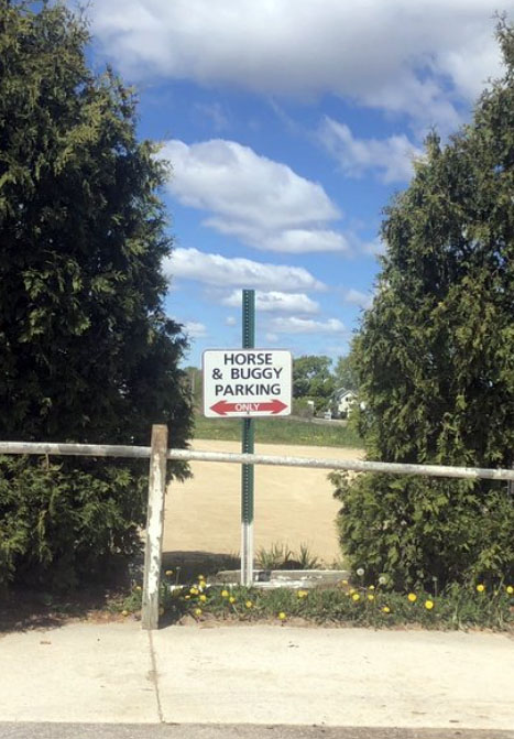 Adeline's Added Amish Adventures